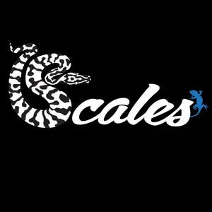 VENDOR SPOTLIGHT: Scales LLC