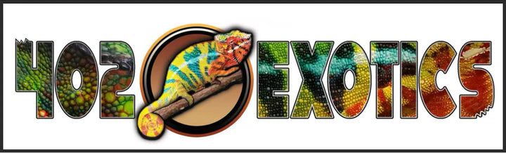 Vendor Spotlight: 402 EXOTICS, LLC