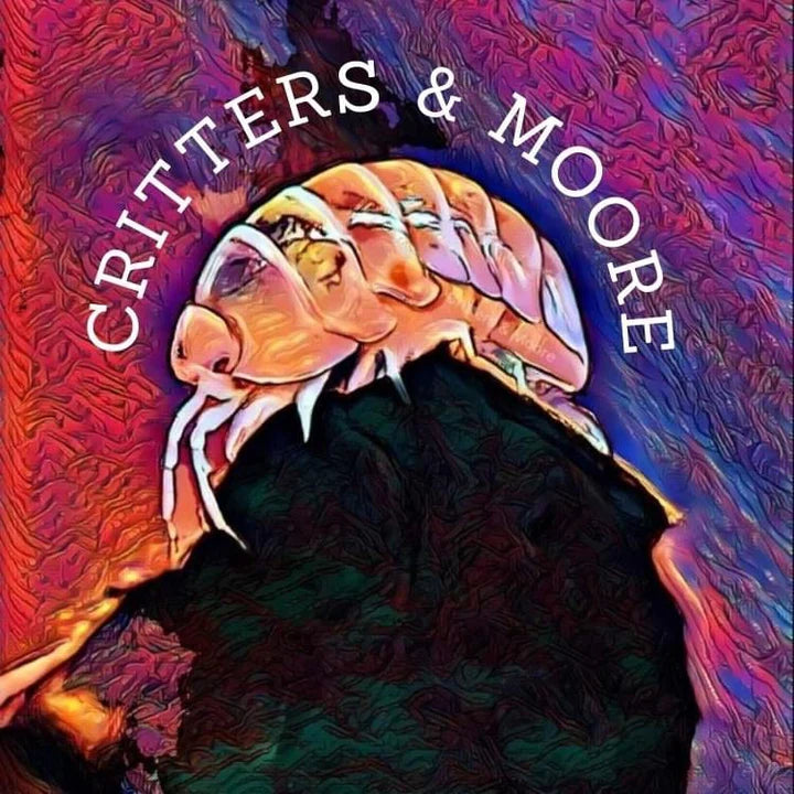 VENDOR SPOTLIGHT: Critters & Moore