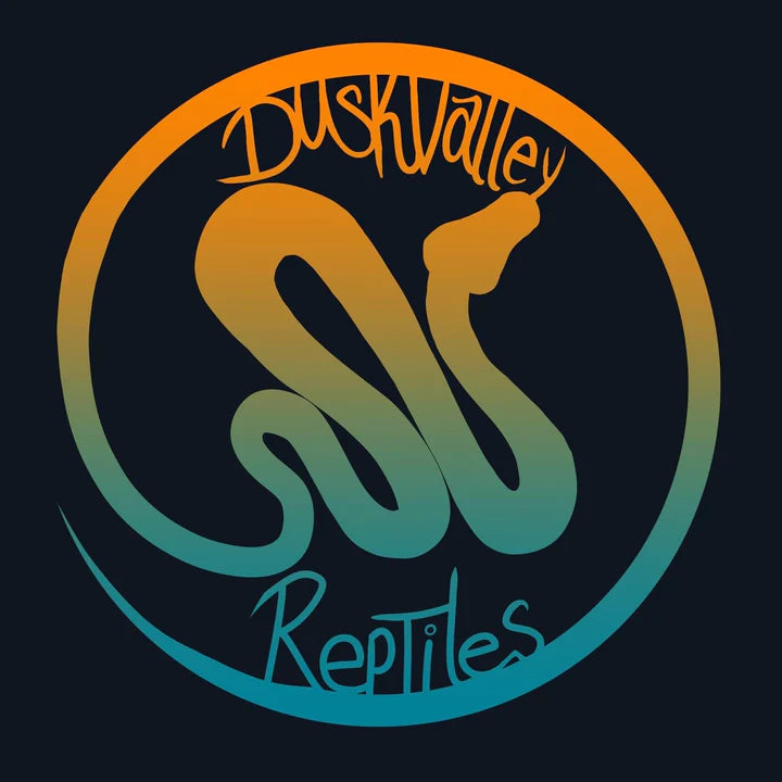 Vendor Spotlight: Dusk Valley Reptiles