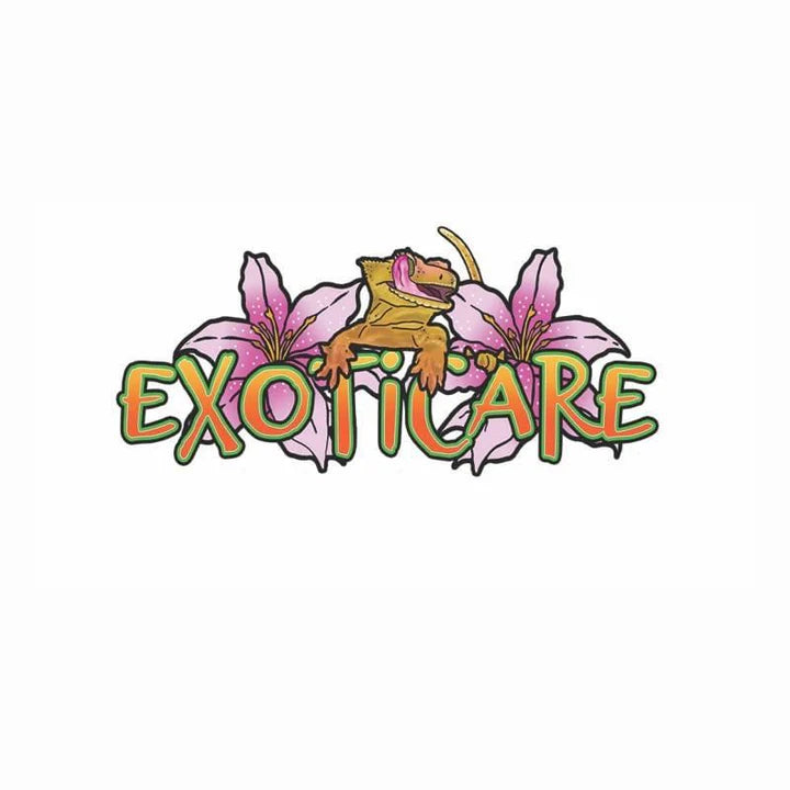 Vendor Spotlight: Exoticare LLC