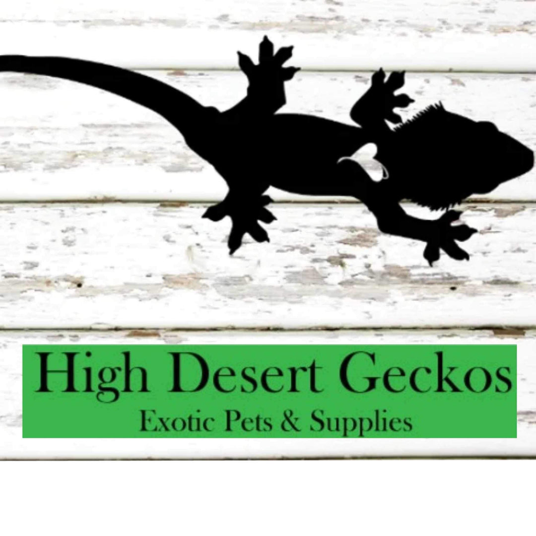 High Desert Geckos Exotic Pets & Supplies