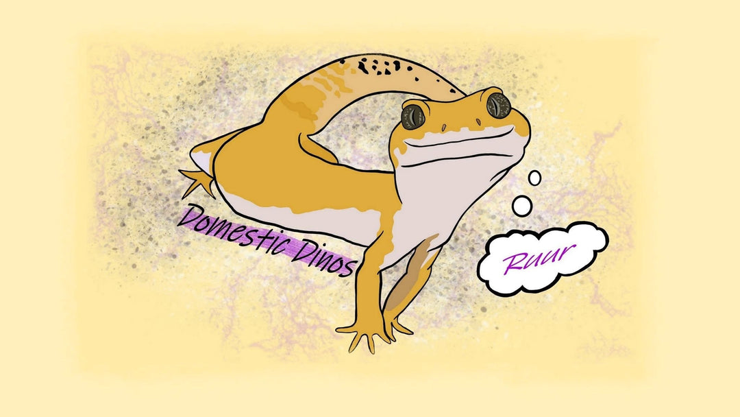 VENDOR SPOTLIGHT: Domestic Dinos