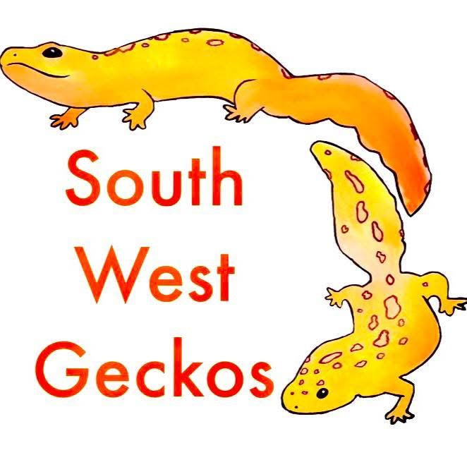 VENDOR SPOTLIGHT: Southwest Geckos