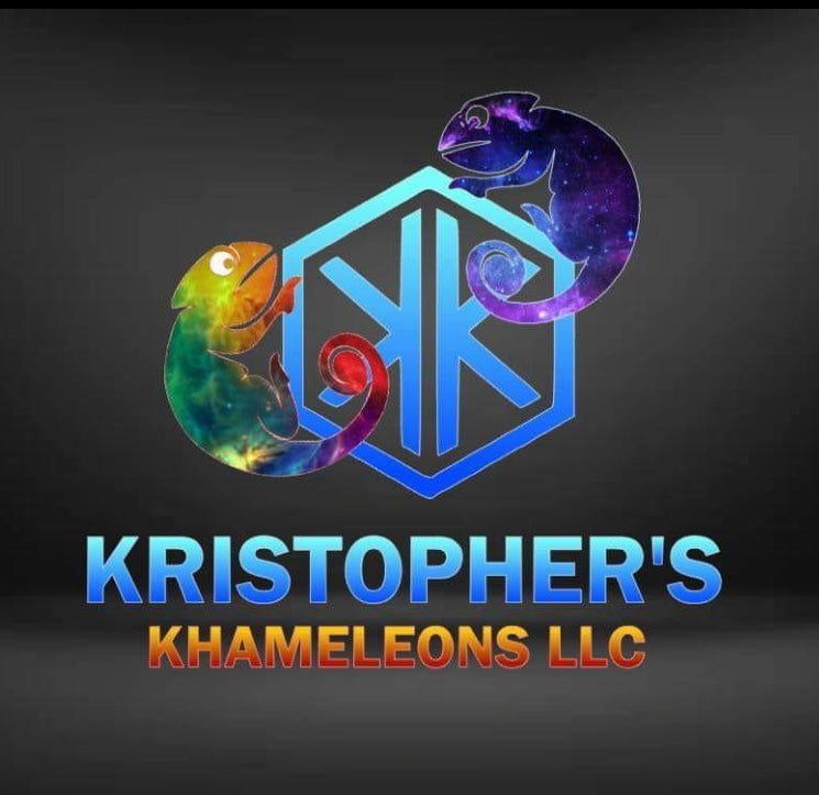 VENDOR SPOTLIGHT: Kristopher's Chameleons