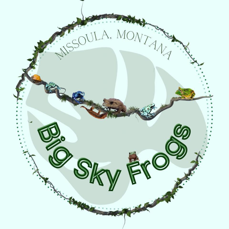 Vendor Spotlight: Big Sky Frogs
