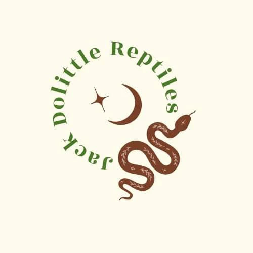 Vendor Spotlight: Jack Dolittle Reptiles