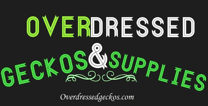 Vendor Spotlight: Over Dressed Gecko & Supplies