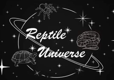 Vendor Spotlight: Reptile Universe
