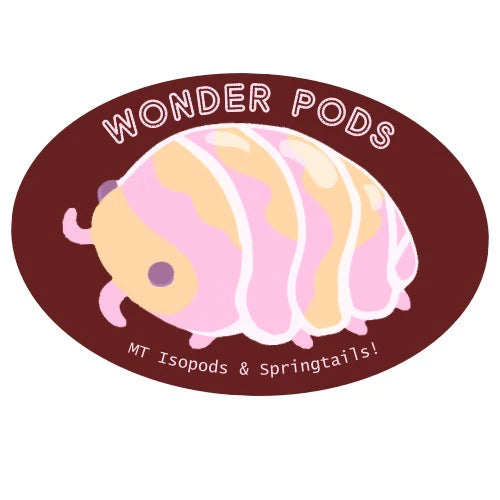 Vendor Spotlight: Wonder Pods