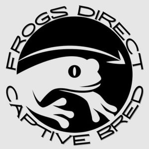 Vendor Spotlight: Frogs Direct Captive Bred