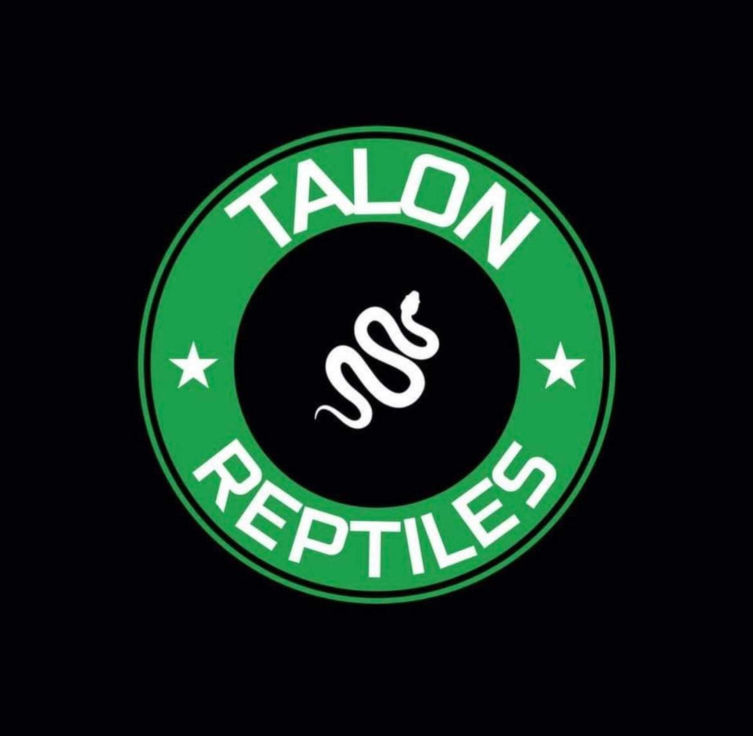 Vendor Spotlight: Talon Reptiles